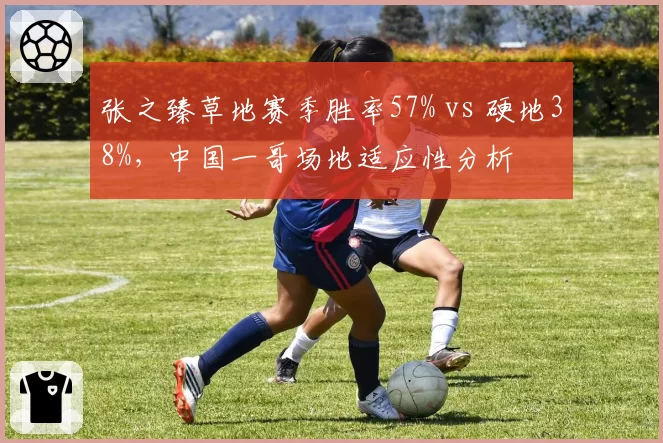 张之臻草地赛季胜率57% vs 硬地38%,中国一哥场地适应性分析