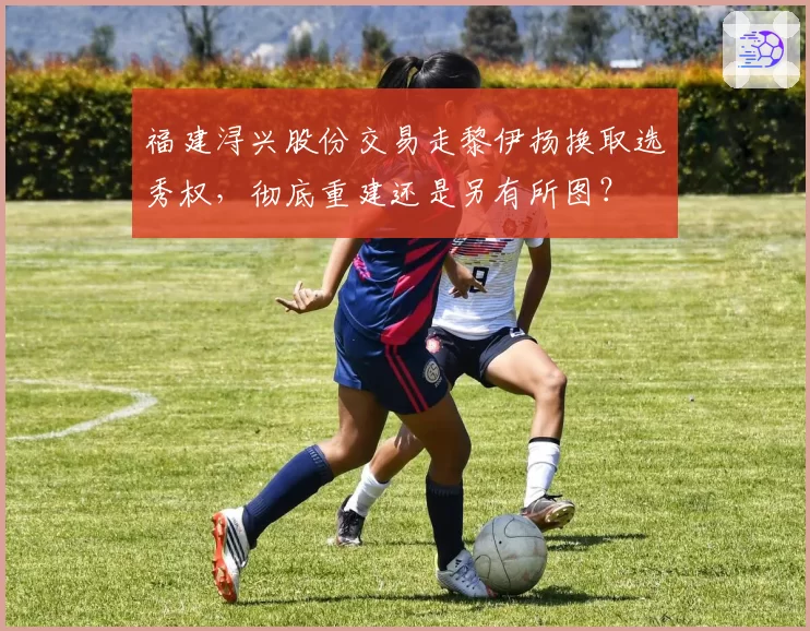 福建浔兴股份交易走黎伊扬换取选秀权，彻底重建还是另有所图？